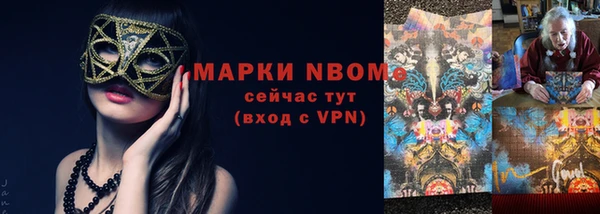 дмт Бородино