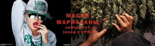 дмт Бородино