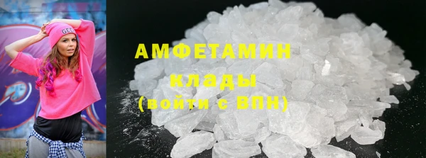 дмт Бородино