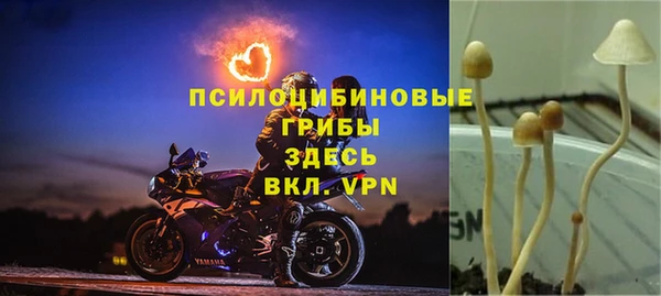не бодяженный Бугульма