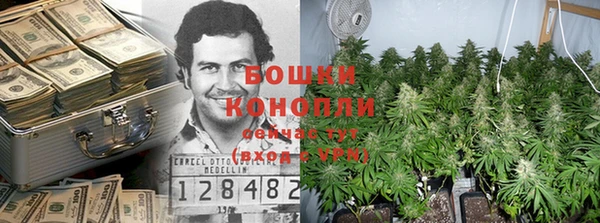 дмт Бородино