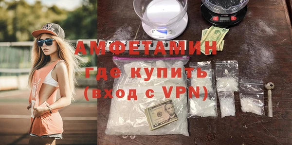 дмт Бородино