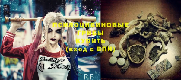 дмт Бородино