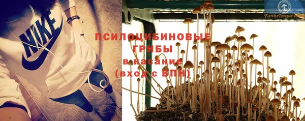 дмт Бородино