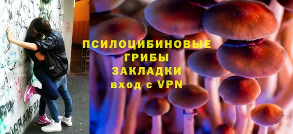 дмт Бородино