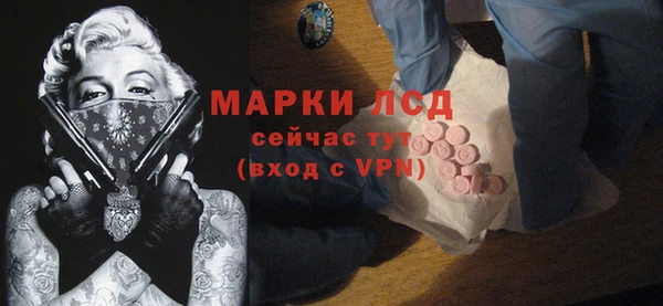 дмт Бородино